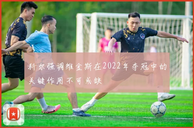科尔强调维金斯在2022年夺冠中的关键作用不可或缺