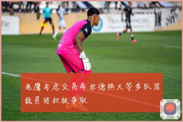 老鹰考虑交易希尔德热火等多队若裁员将积极争取
