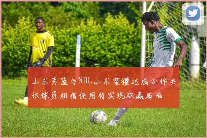 山东男篮与NBL山东蜜獾达成合作共识球员租借使用将实现双赢局面